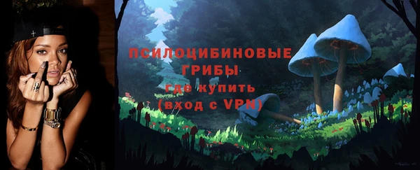 дмт Богданович