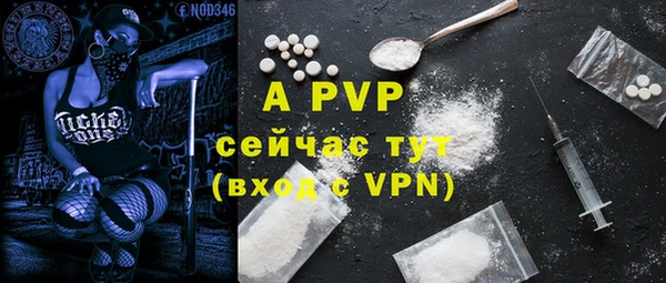 Альфа ПВП Бородино
