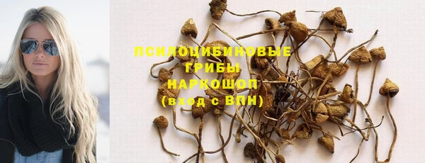 мдпв Няндома