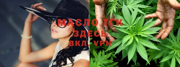 дмт Богданович